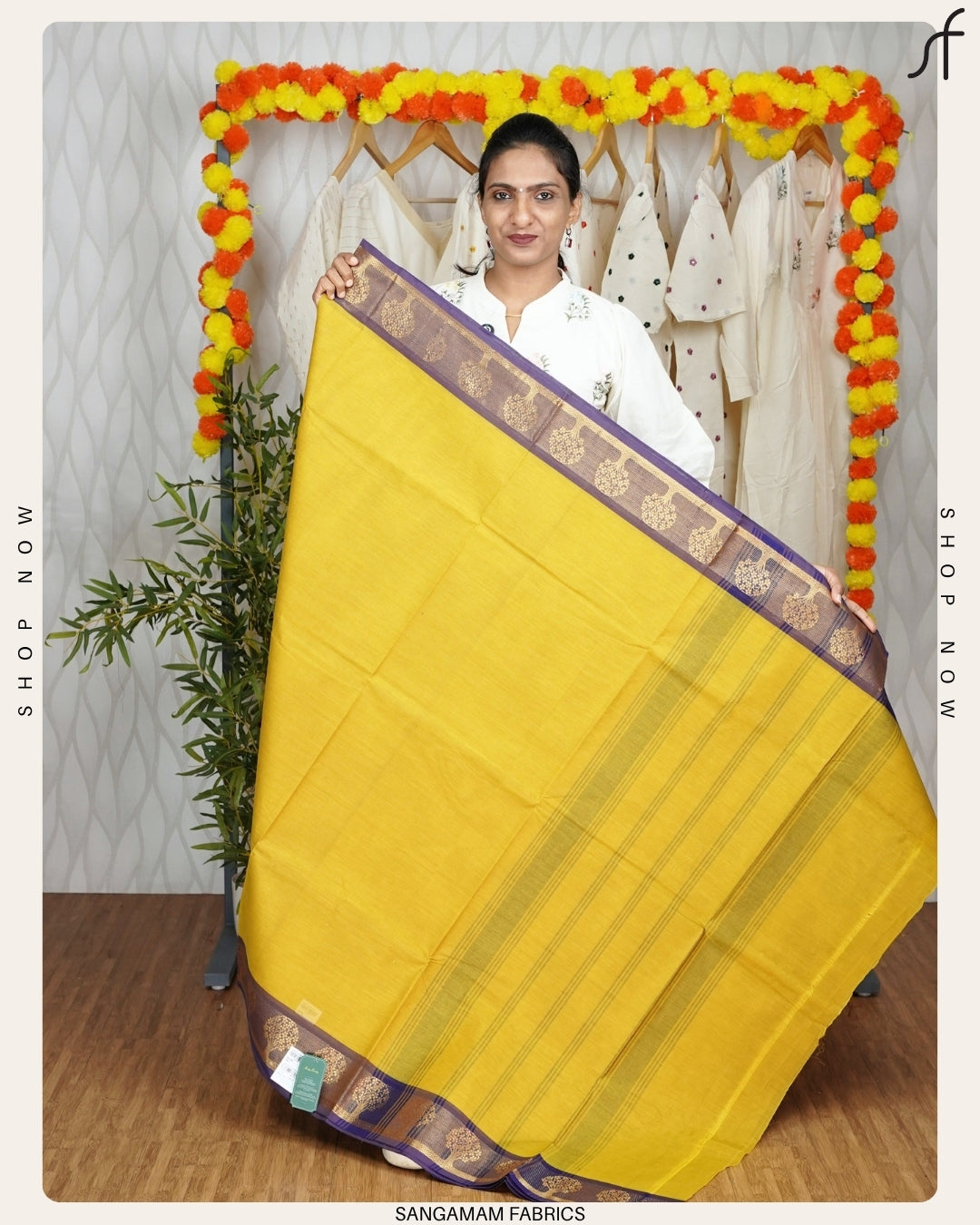 KANCHI COTTON SAREE