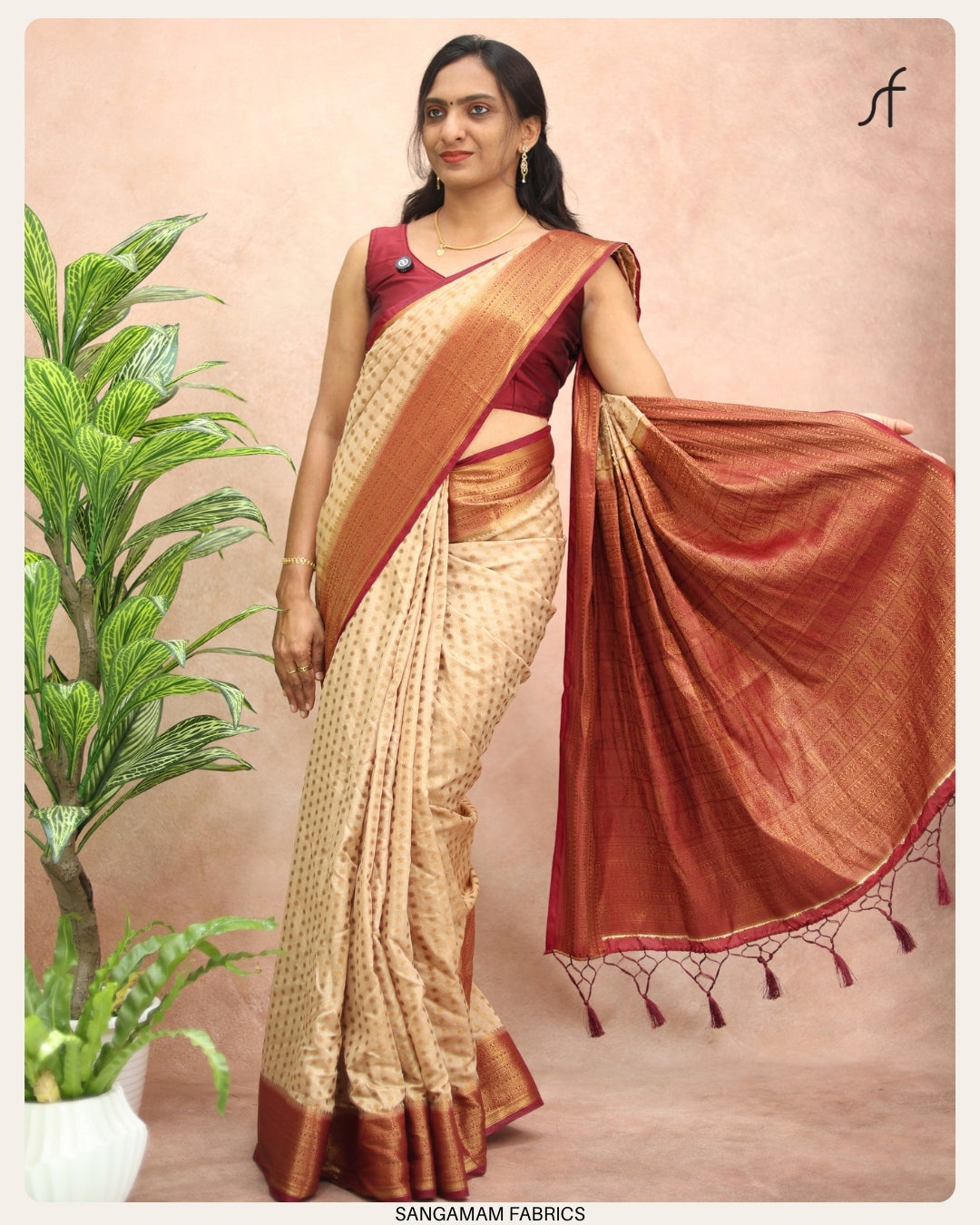 CHIKKU BANARASI SAREE