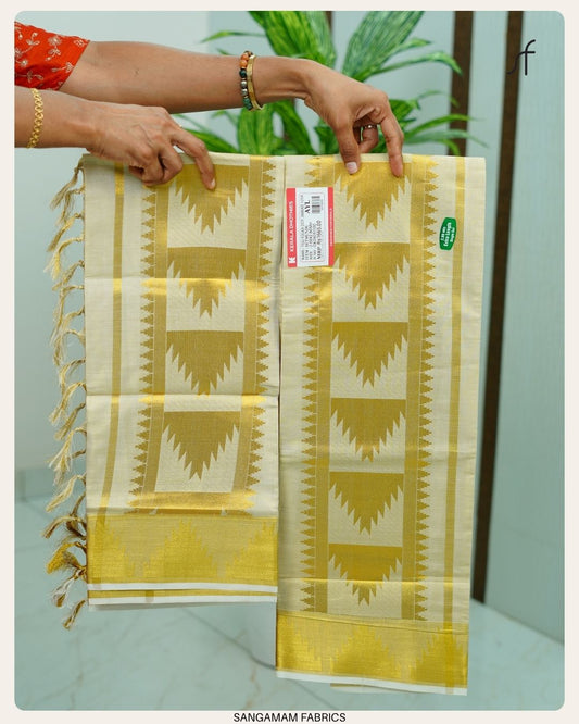 TISSUE SET SAREE