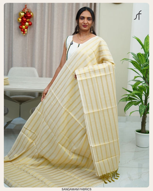STRIPE DETAILED SAREE
