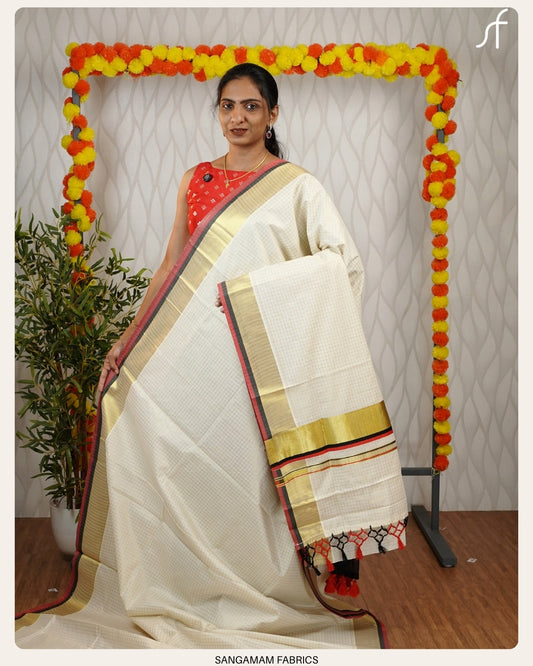 CHECK DETAILED SET SAREE