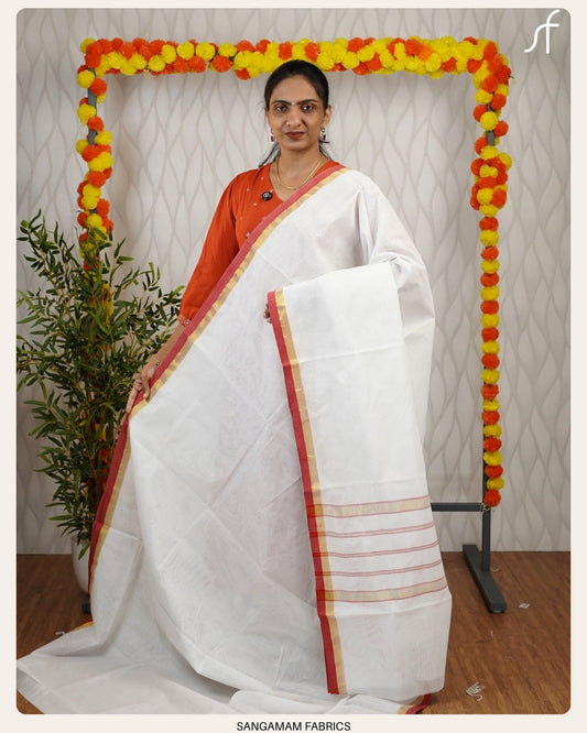 BORDER HIGHLIGHTED WHITE SAREE