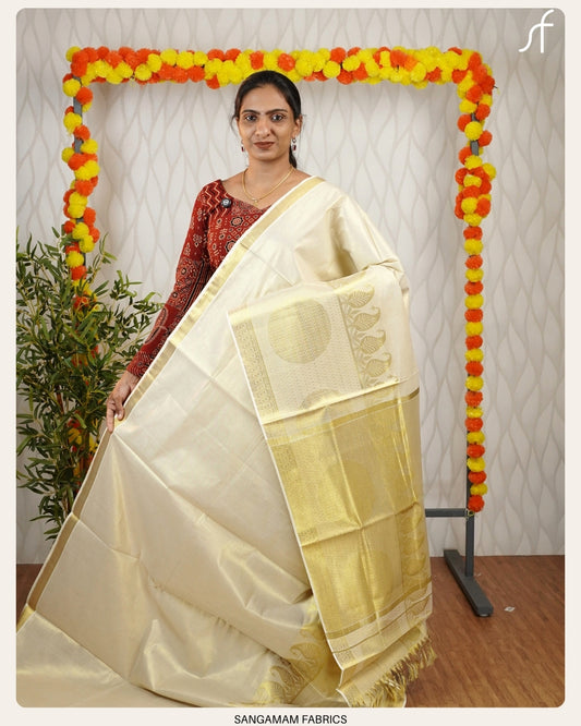 TISSUE SET SAREE
