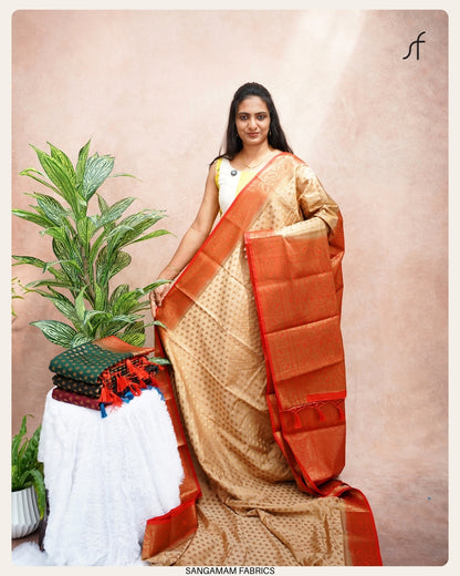 SEMI GEORGETTE BANARASI SAREE