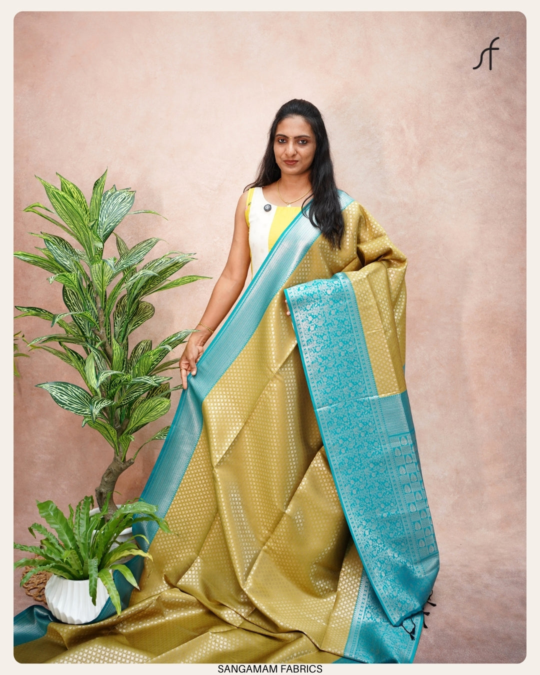 SOFT SILK BROCADE  SAREE