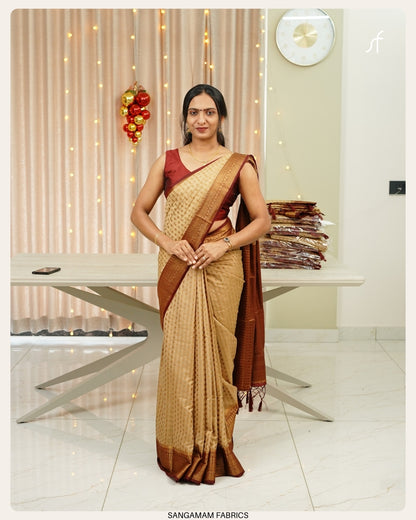 SEMI GEORGETTE BANARASI SAREE