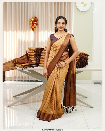 SEMI GEORGETTE BANARASI SAREE