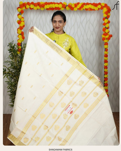 HANDLOOM SET SAREE