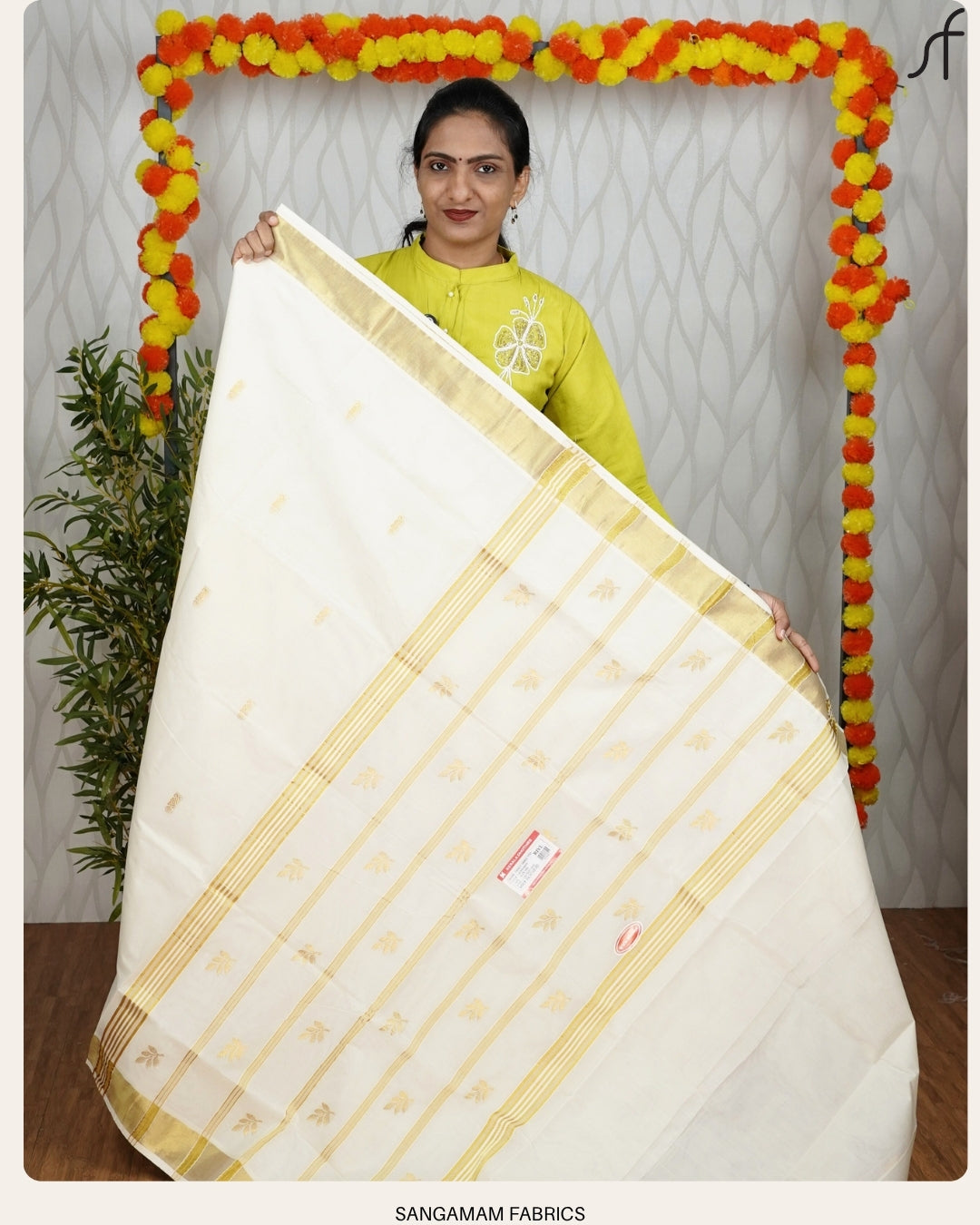 HANDLOOM SET SAREE