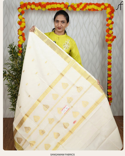 HANDLOOM SET SAREE