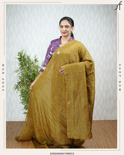 CRUSHED SILK GLITTER DETAILED SAREE