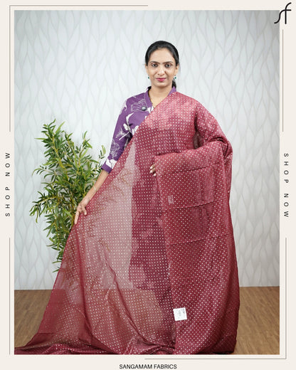 CRUSHED SILK GLITTER DETAILED SAREE