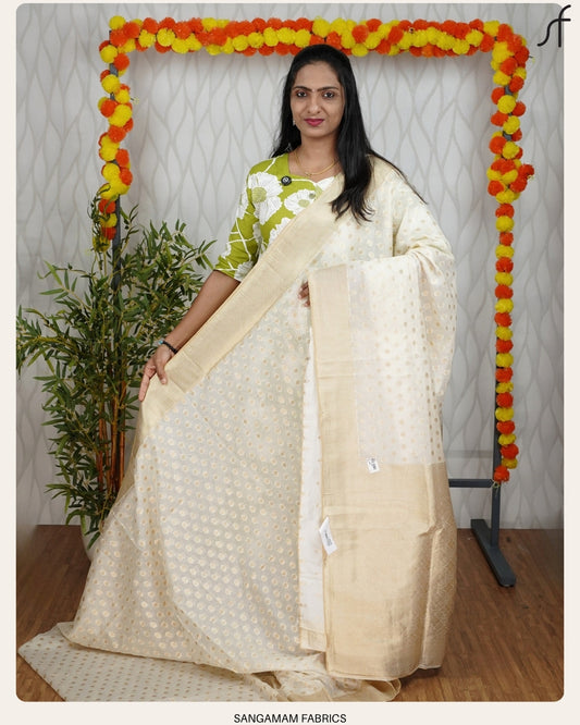 BANARASI ORGANZA SAREE