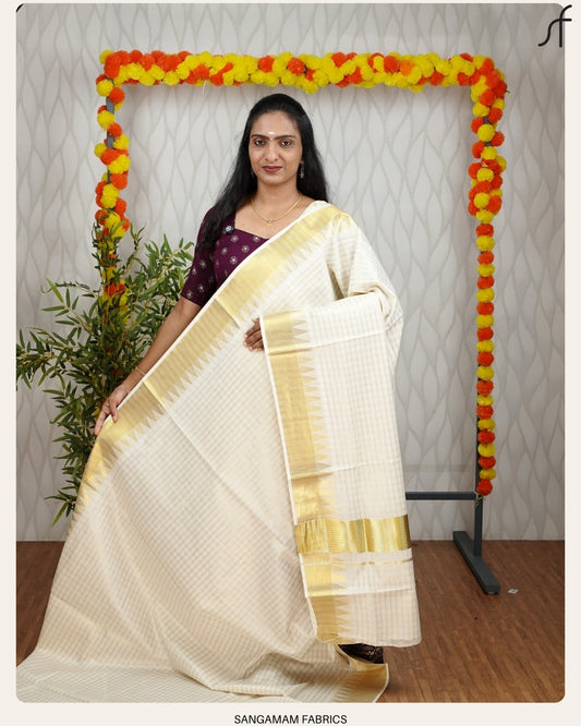 CLASSIC CHECK AND TEMPLE BORDER DETAILED SET SAREE