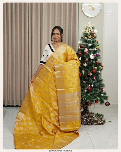 BANARASI SEMI TUSSAR SILK  SAREE