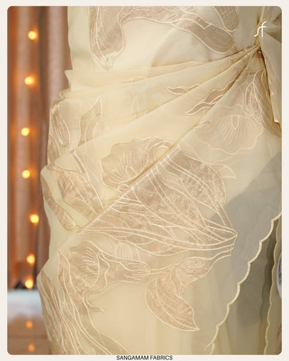TURKISH ORGANZA SAREE