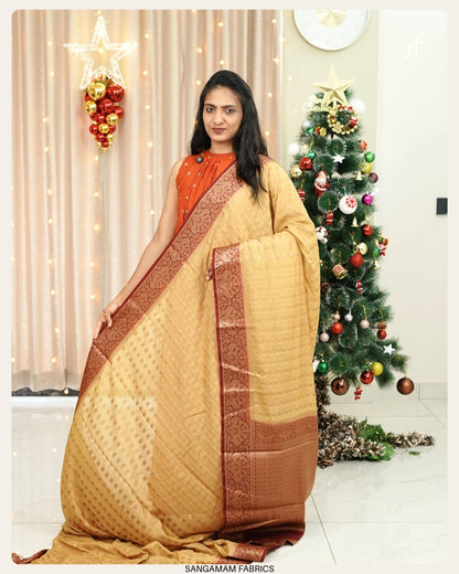 SEMI GEORGETTE BANARASI  SAREE