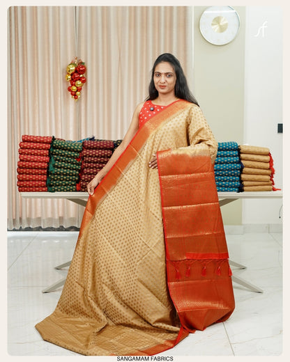 SEMI GEORGETTE BANARASI SAREE