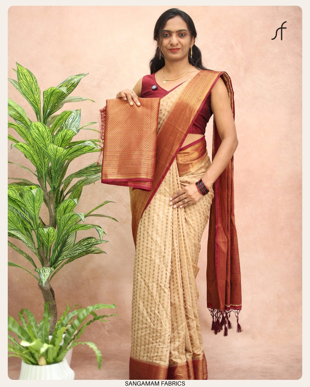 CHIKKU BANARASI SAREE