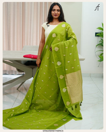 SOFT SILKY COTTA SAREE