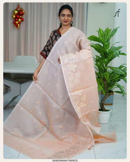 TURKISH ORGANZA SAREE