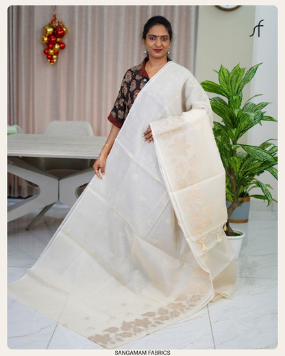 TURKISH ORGANZA SAREE