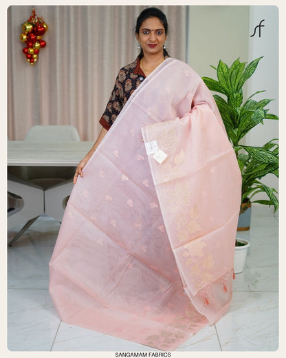 TURKISH ORGANZA SAREE