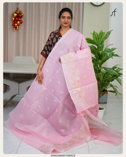 TURKISH ORGANZA SAREE