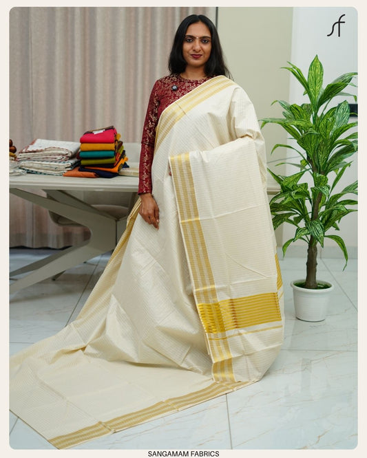 STRIPE DETAILED SET SAREE