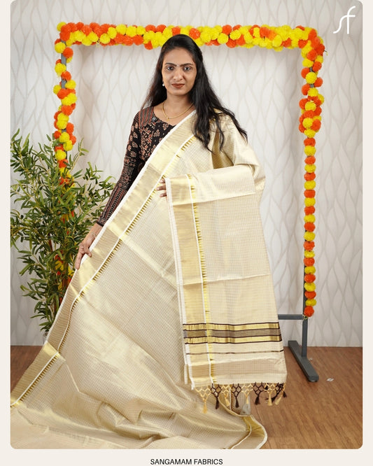 CLASSIC CHECK AND TEMPLE BORDER DETAILED TISSUE SET SAREE