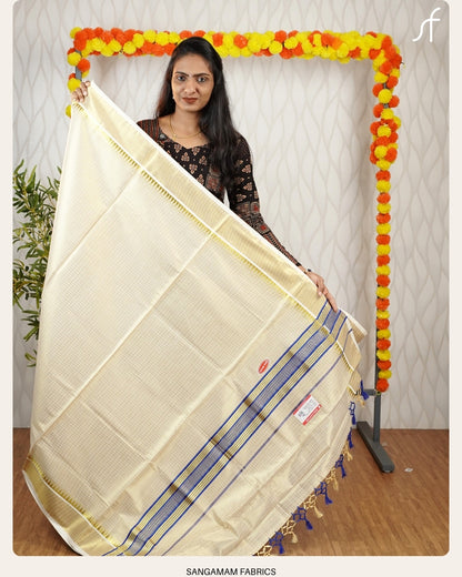 CLASSIC CHECK AND TEMPLE BORDER DETAILED TISSUE SET SAREE