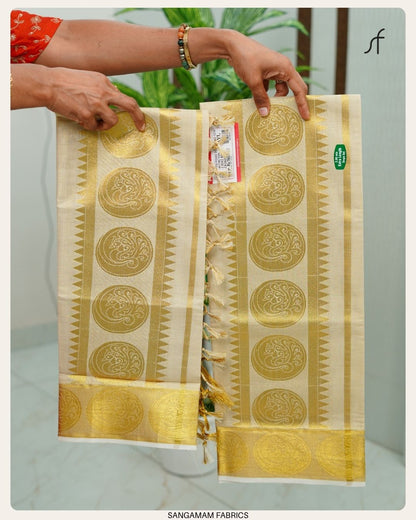 TISSUE SET SAREE