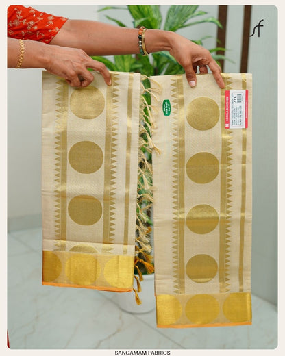TISSUE SET SAREE
