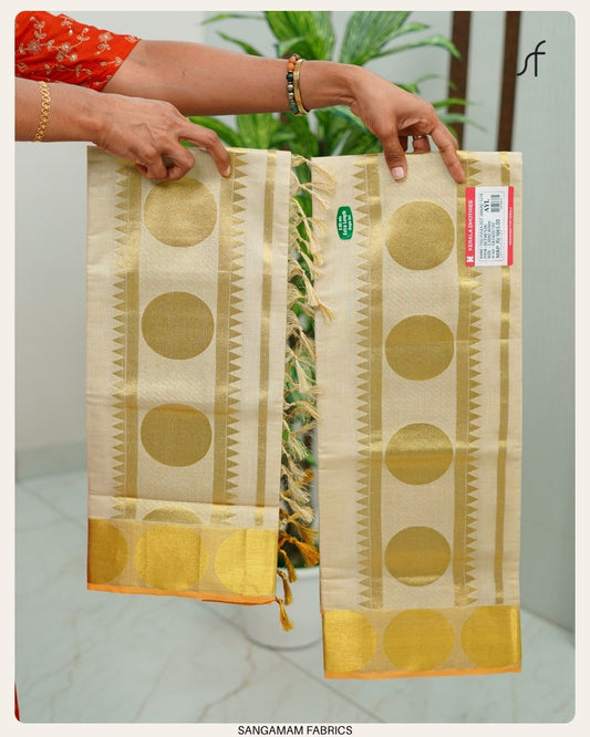 TISSUE SET SAREE