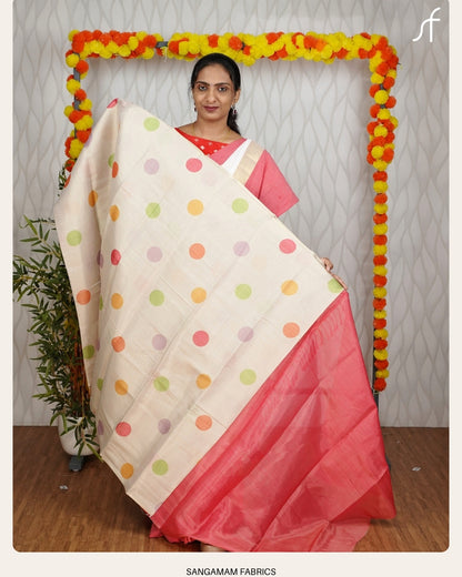 CLASSIC POLKA SAREE