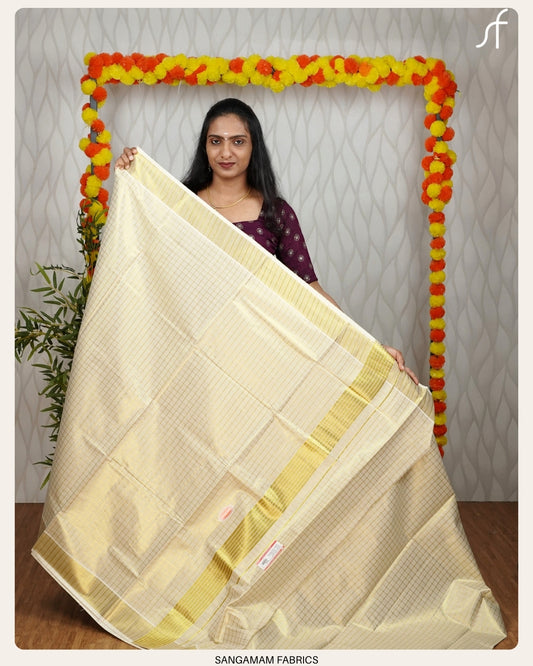 CHECK AND STRIPE SET SAREE