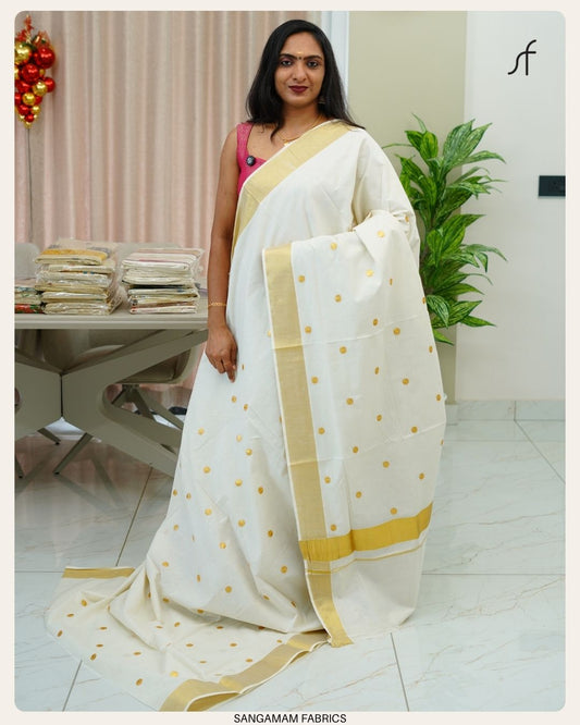 COIN EMBROIDERY DETAILED SET SAREE