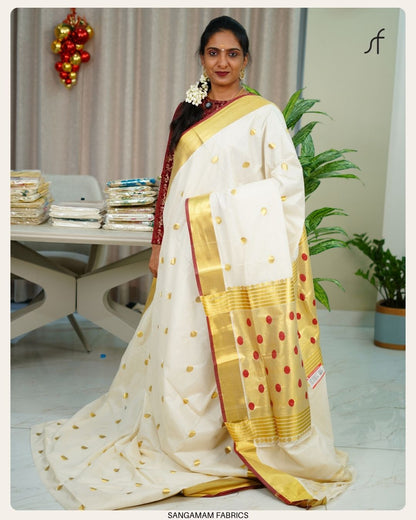 COIN BUTTAS DETAILED PREMIUM SET SAREE