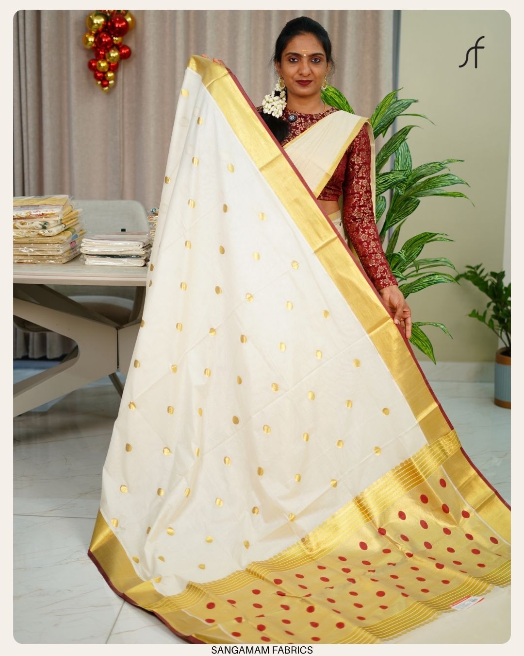 COIN BUTTAS DETAILED PREMIUM SET SAREE