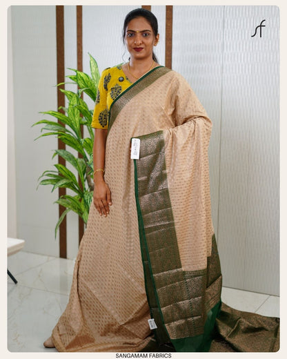 BANARASI SAREE