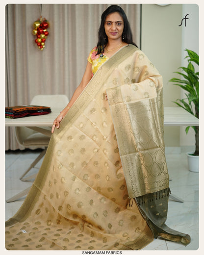 SEMI CHANDERI SILK SAREE