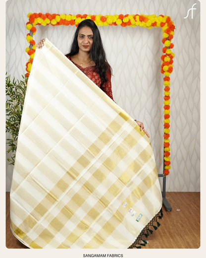 STRIPE DETAILED SET SAREE
