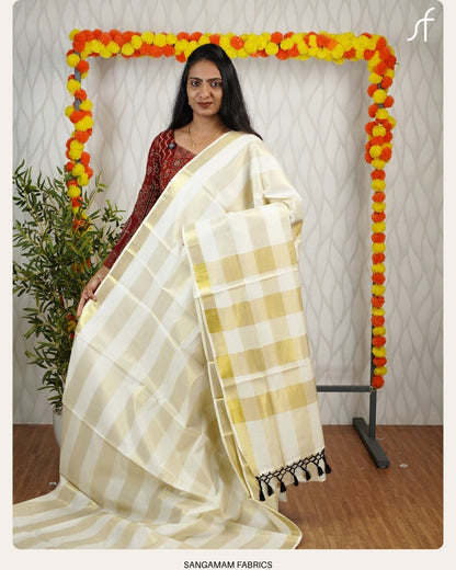 STRIPE DETAILED SET SAREE