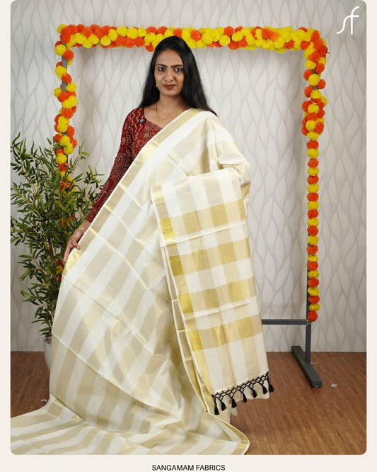 STRIPE DETAILED SET SAREE