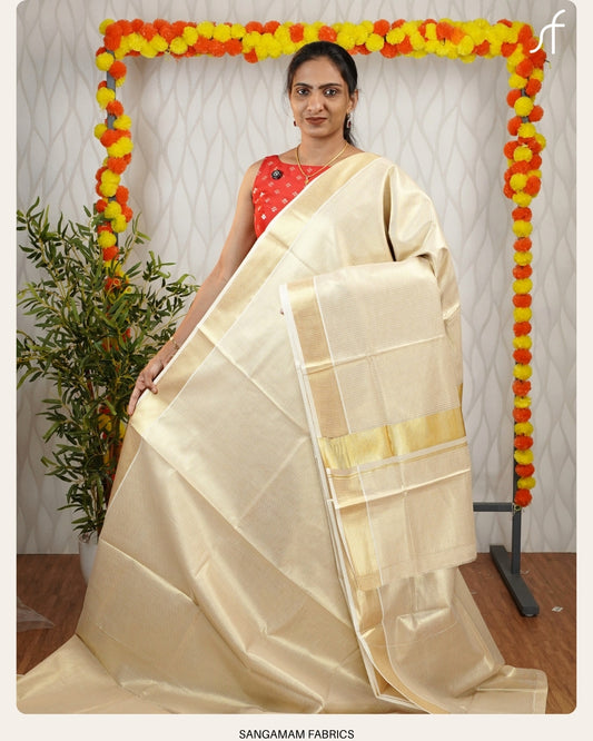GOLDEN TISSUE STRIPE DETAILED SET SAREE