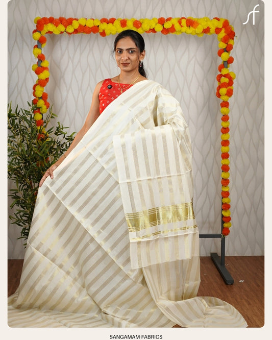 STRIPE DETAILED SET SAREE