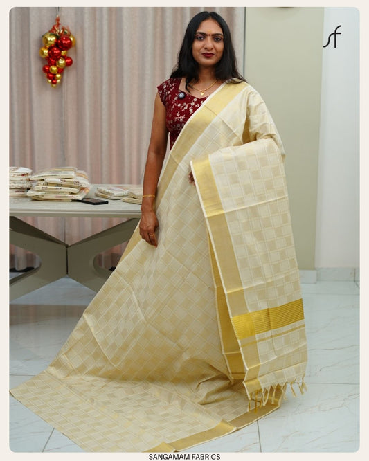 CHECK DETAILED COTTON SET SAREE