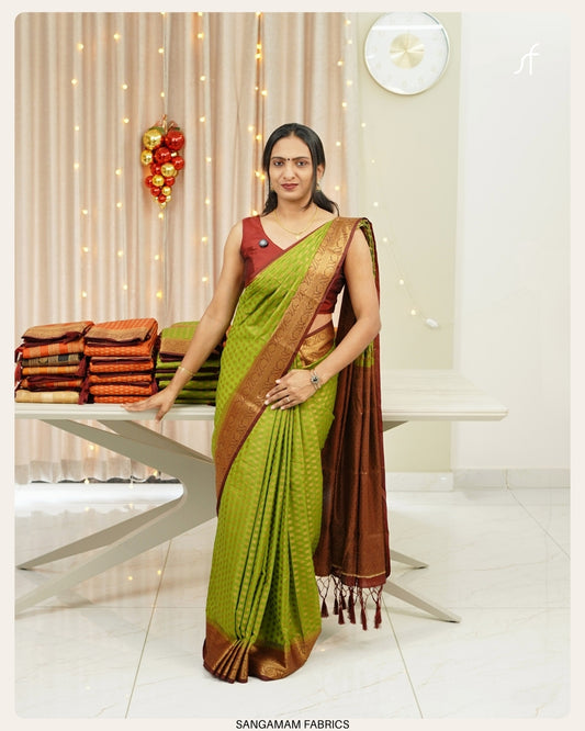 SEMI GEORGETTE BANARASI SAREE
