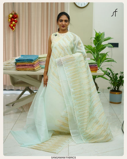 ORGANZA SAREE
