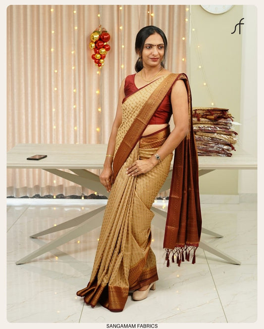 SEMI GEORGETTE BANARASI SAREE